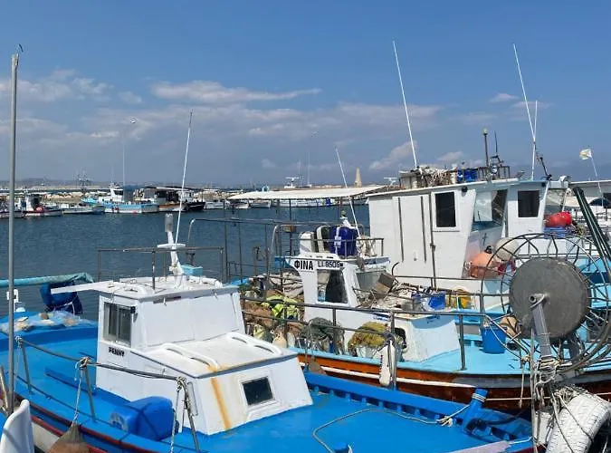 公寓 Ithaki Phinikoudes No. 207