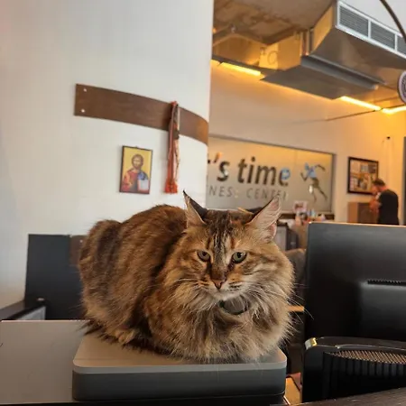 Ithaki Phinikoudes No. 207 Апартаменты *