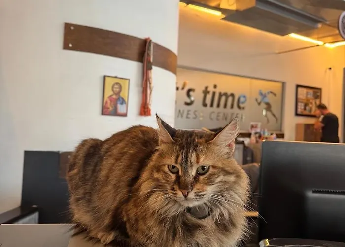 Ithaki Phinikoudes No. 207 Апартаменты *